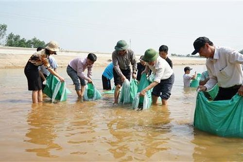 Thả hơn 9.000 con cá giống bổ sung, tái tạo nguồn lợi thủy sản