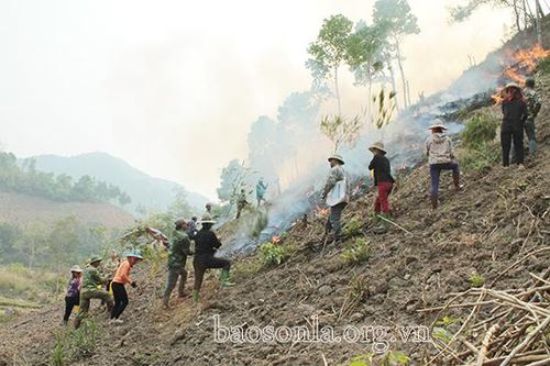 Sam Kha diễn tập ứng phó cháy rừng và tìm kiếm cứu nạn đoạt loại giỏi