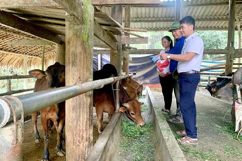 Kênh dẫn vốn hiệu quả
