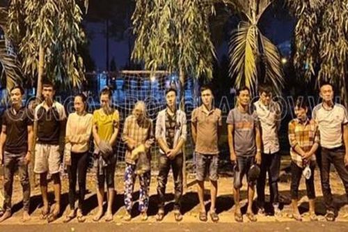 Đột kích xới bạc di động trong vườn điều