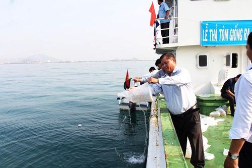 Thả 70 vạn con tôm sú giống ra biển