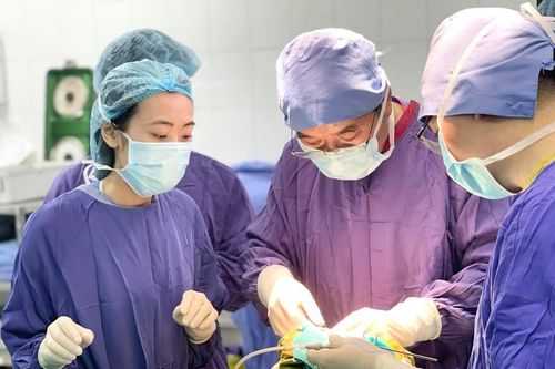 Cứu sống người phụ nữ ở Bắc Kạn bị cành cây xuyên qua hốc mắt
