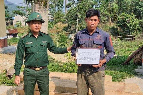 Liên tiếp bắt giữ các vụ vận chuyển gỗ lậu trên địa bàn huyện A Lưới, Thừa Thiên Huế