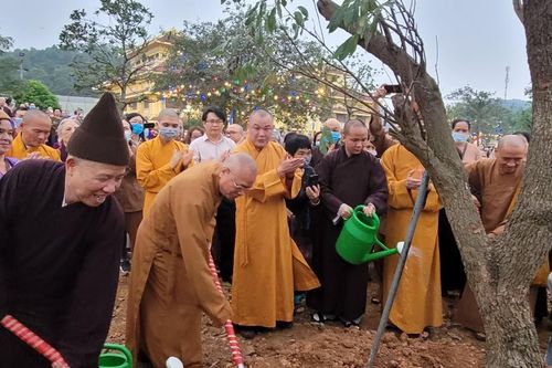 Hàng ngàn cây xanh tại vườn 'lộc uyển' ở Học viện Phật giáo