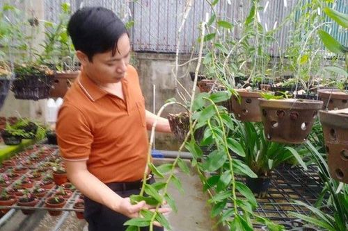 Gặp ông chủ vườn lan Mạnh Hùng tìm hiểu bí quyết thành công khi trồng lan