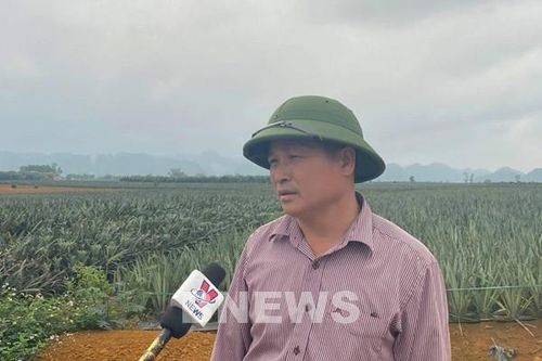 Điểm tựa cho tiêu thụ nông sản bền vững
