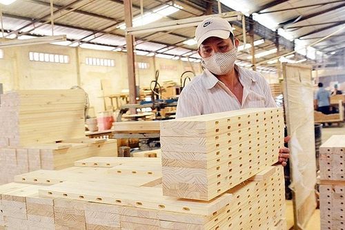 Nhận thức về gỗ hợp pháp Việt Nam trong ngành cao su còn hạn chế