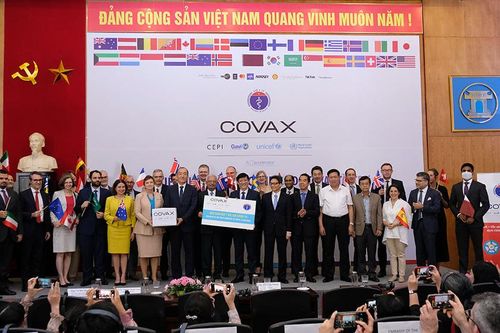 Vaccine Covid-19 cung ứng từ COVAX dự kiến đủ cho 20% dân số Việt Nam