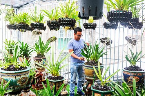 Sự thật về lan đột biến