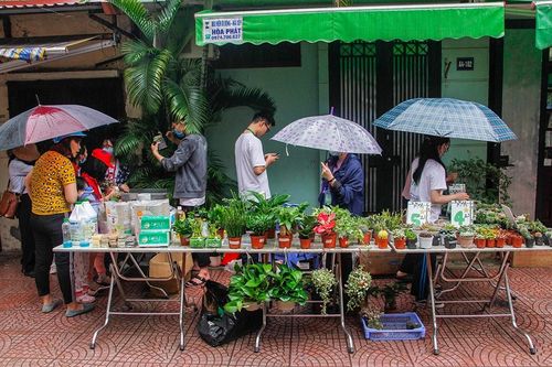 Đổi giấy lấy cây: Thay đổi ý thức môi trường của người trẻ