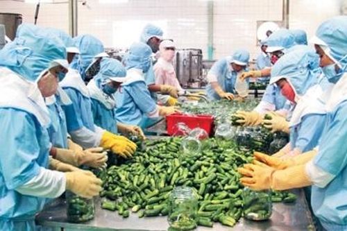 Chuyển hướng tiếp cận và chinh phục thị trường chất lượng cao