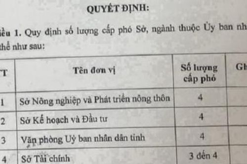 Nghệ An: Nhiều sở, ngành có đến 4 cấp phó