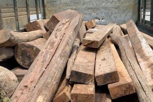 Nghệ An: Bắt vụ vận chuyển gỗ không rõ nguồn gốc xuất xứ