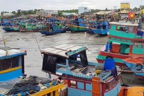 Huyện Cần Giờ (TP Hồ Chí Minh) đạt chuẩn nông thôn mới