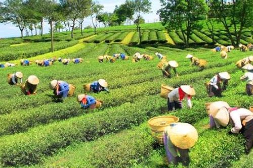 Hoàn thiện cơ chế, chính sách phát triển KTXH vùng dân tộc thiểu số và miền núi