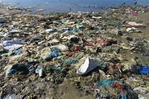 Việt Nam muốn trở thành quốc gia tiên phong về giảm thiểu ô nhiễm đại dương