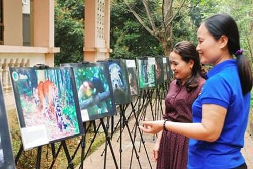 Khai mạc Chương trình giáo dục nâng cao nhận thức bảo tồn thiên nhiên Vườn quốc gia Pù Mát