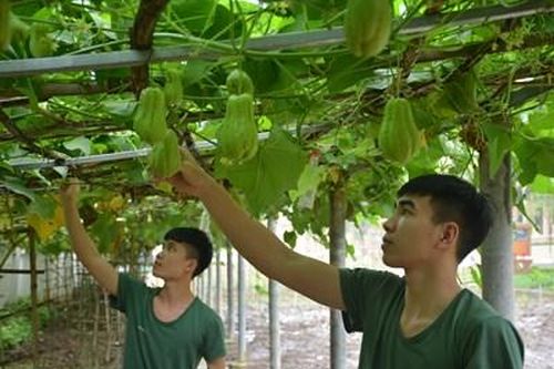 Động lực xây dựng đơn vị chính quy, nâng cao đời sống bộ đội