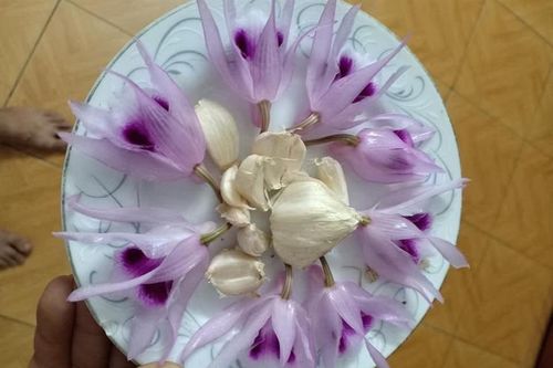 Cười sảng khoái với chùm ảnh siêu hài hước