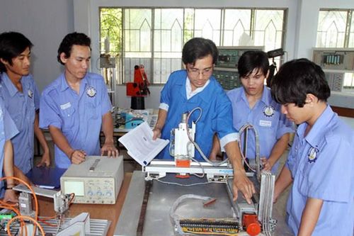 Hướng nghiệp theo mùa như chờ… sung rụng!