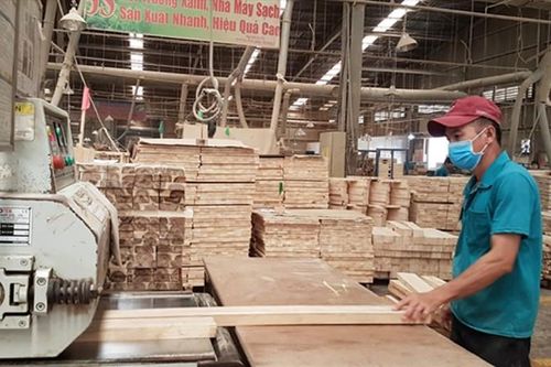 Xuất khẩu gỗ và sản phẩm gỗ: Lo ngại rủi ro trong lẩn tránh xuất xứ