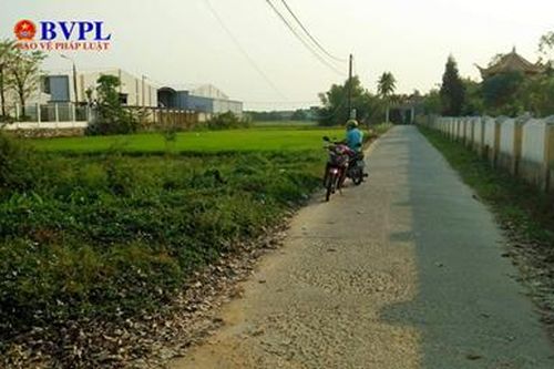 Đà Nẵng cảnh báo người dân, nhà đầu tư tránh rơi vào các chiêu trò thổi phồng thị trường BĐS