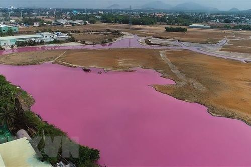 BR-VT: Công ty thủy sản bị phạt nặng vì xả thải không qua xử lý