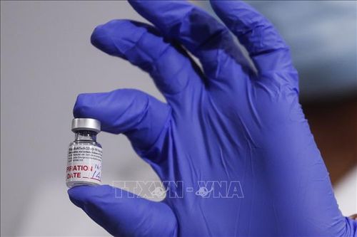 Dịch COVID-19: Vaccine của Pfizer/BioNTech tạo ra phản ứng miễn dịch mạnh ở nhóm người trên 80 tuổi