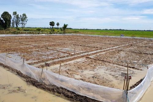 Sản xuất thích ứng với thời tiết