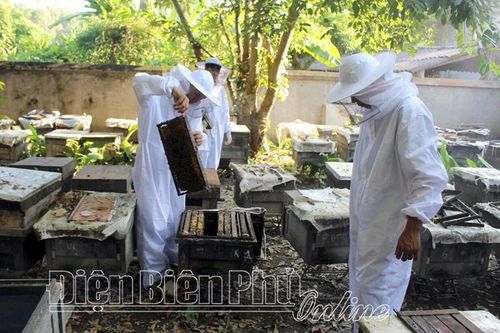 Bảo vệ rừng để hưởng lợi từ rừng