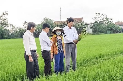 Những 'cánh tay nối dài' của hoạt động khuyến nông tại cơ sở
