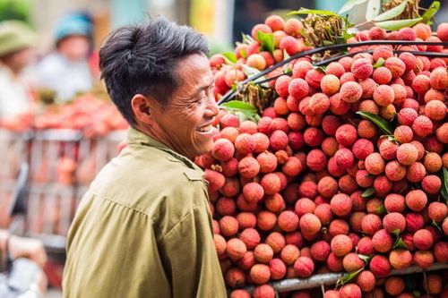 Bắc Giang: Sở hữu trí tuệ thúc đẩy mở cửa thị trường cho nông sản chủ lực