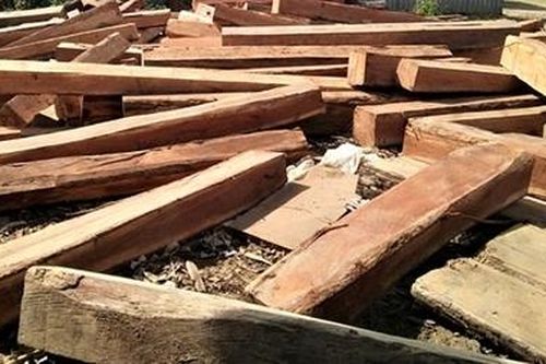 Phát hiện 60m3 gỗ lậu ở xưởng cưa không phép