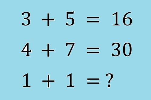 Câu đố 1 + 1 của cựu sinh viên ĐH Stanford