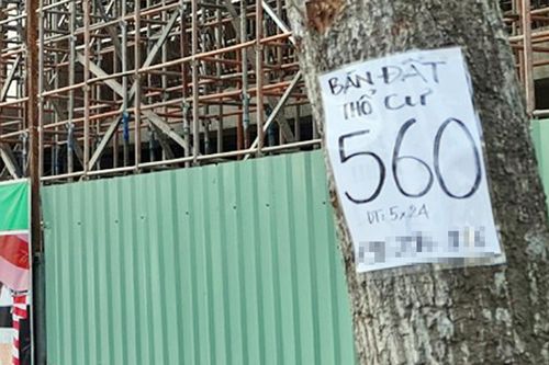 Giá đất ở Sóc Trăng đang bị 'thổi'?