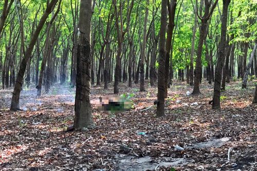 Người đàn ông tử vong trong rẫy cao su