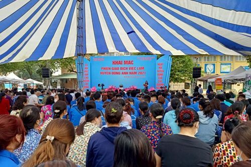Hà Nội tạo gần 2.500 việc làm, thu nhập tốt cho người lao động