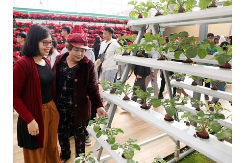 Hiệu quả từ các mô hình ứng dụng khoa học và công nghệ