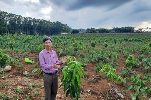 Để sản xuất ở vùng nông thôn, miền núi phát triển