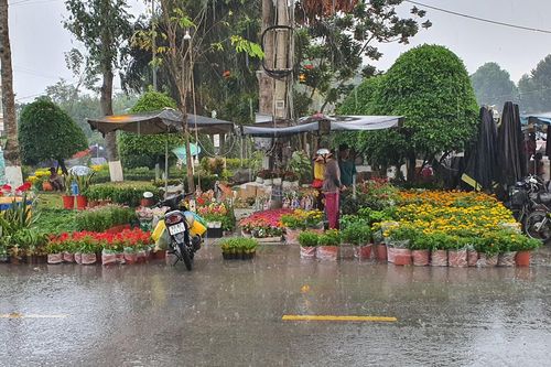 Xuất hiện mưa 'vàng' giải hạn cho vùng ĐBSCL