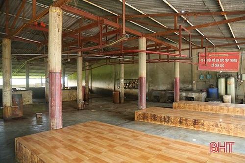 Dịch bệnh dồn dập, các lò giết mổ gia súc ở Hà Tĩnh 'lao đao'