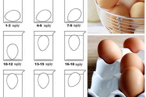 Muốn chọn trứng gà tươi ngon chỉ cần làm đúng 1 việc, bà bán hàng chắn chắn không bao giờ tiết lộ