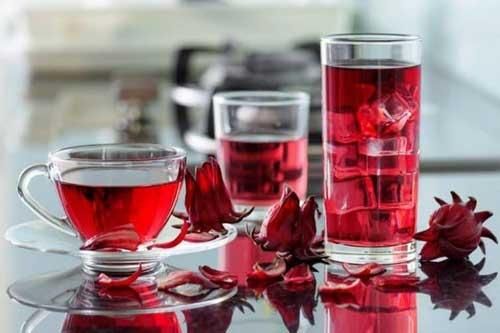 Công dụng tuyệt vời của hoa atiso đỏ đối với sức khỏe con người