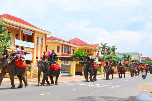 Rước dâu trên lưng voi qua hồ Lắk