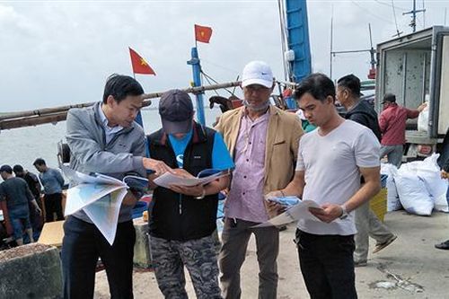 Nỗ lực hướng đến nghề cá có trách nhiệm
