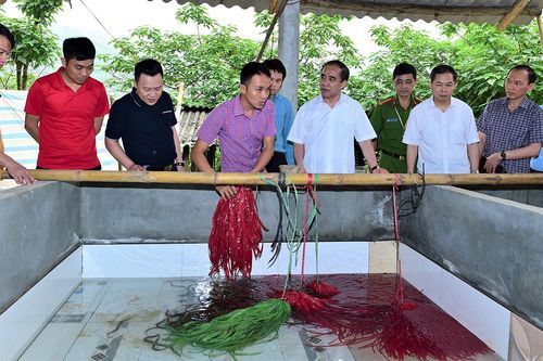 Đồng chí Bí thư Tỉnh ủy Chẩu Văn Lâm: Xã Tân Tiến phải thực hiện mục tiêu xây dựng nông thôn mới nâng cao
