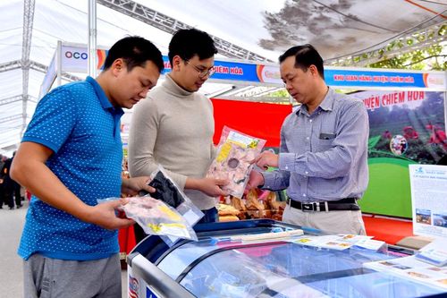 Đưa cá lăng ra 'biển' lớn
