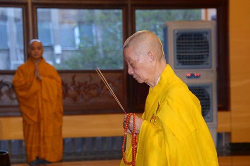 Trồng căn lành ở Phật pháp