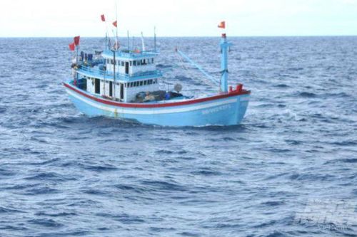 9 ngư dân mất liên lạc 3 tuần khi đánh bắt trên vùng biển Trường Sa