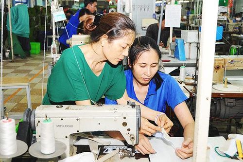 Cơ hội vào 'tuyến cao tốc' EVFTA